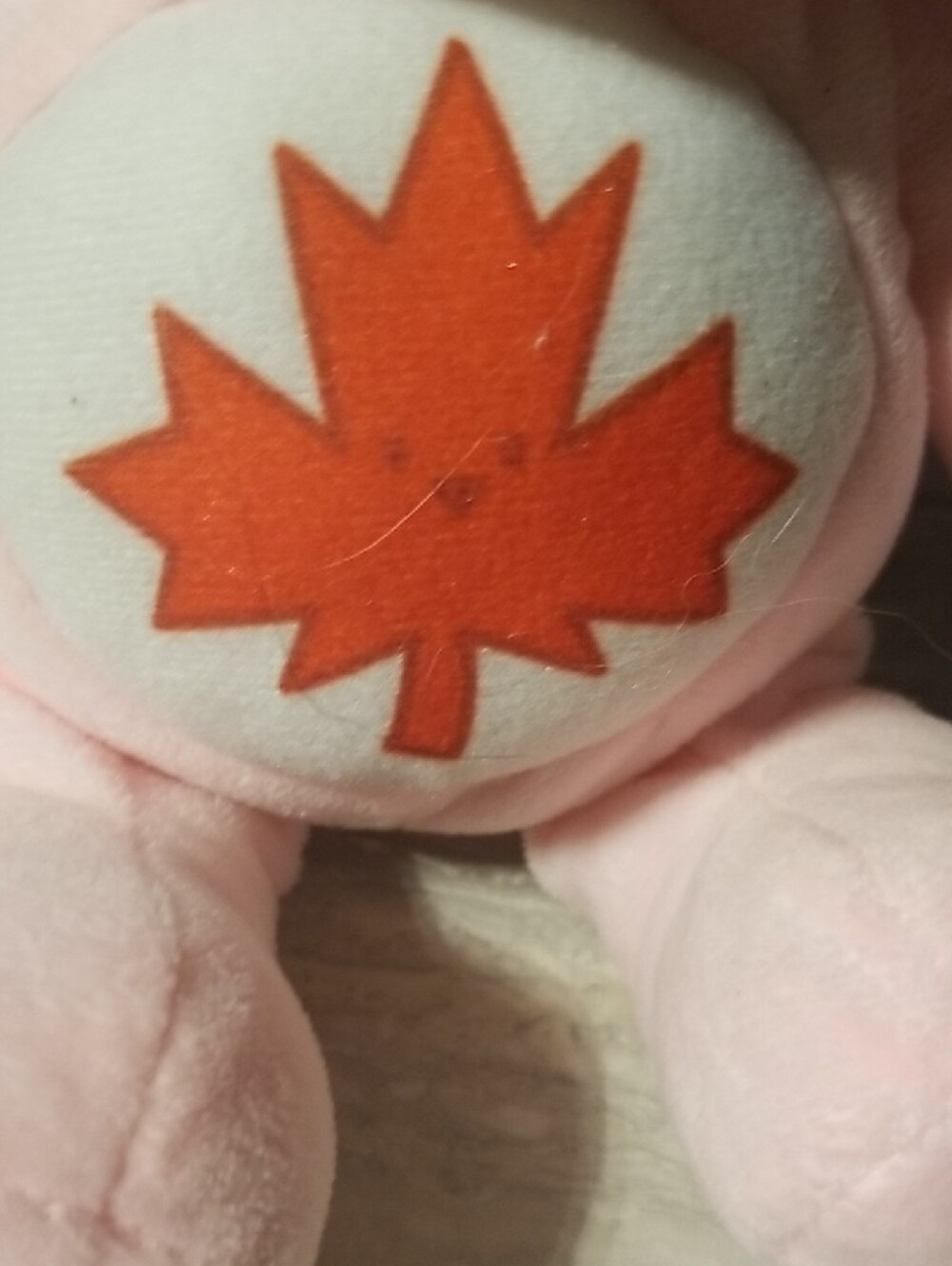 Care Bears Canadian - Picture 5 of 8
